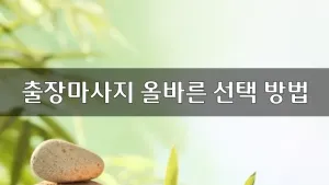 출장마사지올바른선택.webp