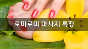 로미로미마사지특징.webp