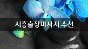 시흥출장마사지추천.webp
