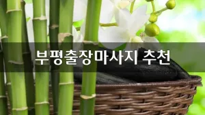 부평출장마사지추천.webp