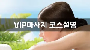 VIP마사지코스설명.webp