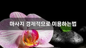 마사지경제적으로이용하는법.webp
